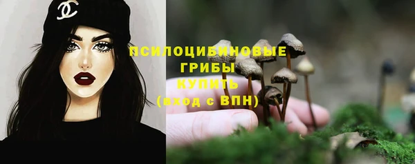 PSILOCYBIN Алзамай