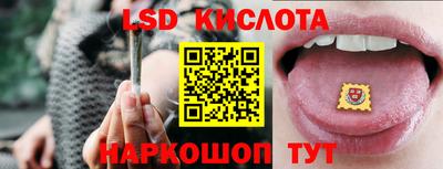 spice Донецк