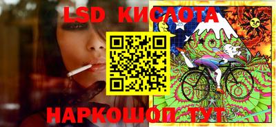 ECSTASY Донской