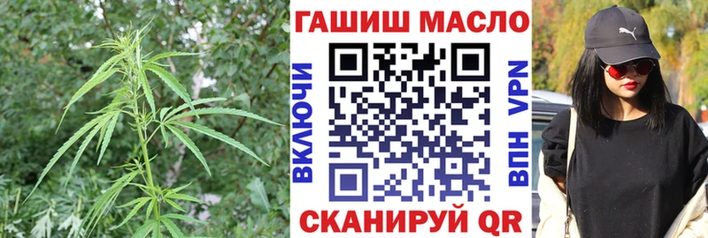 ТГК Wax  Магадан 