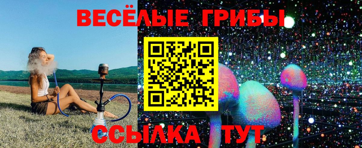 Галлюциногенные грибы GOLDEN TEACHER  Вход с VPN  Магадан 