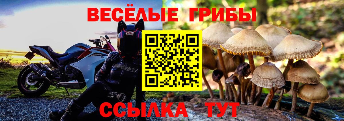 Псилоцибиновые грибы мицелий Магадан